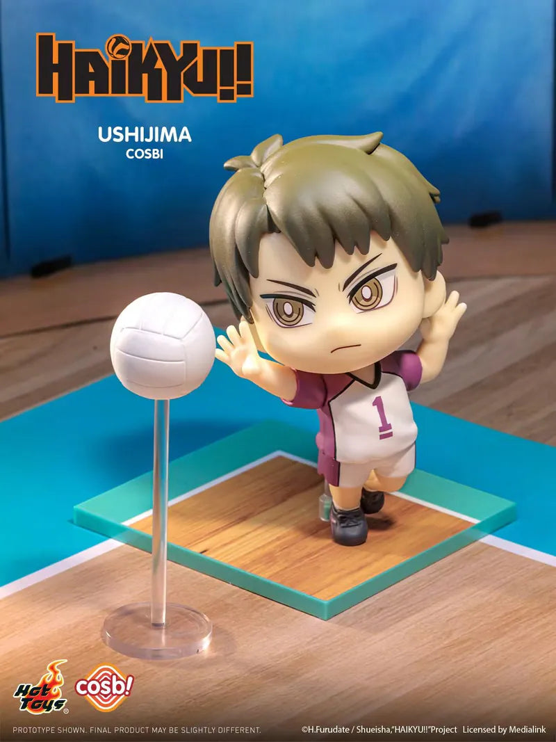 Hot Toys Haikyu!! Cosbi Collection Series 2 Blind Box