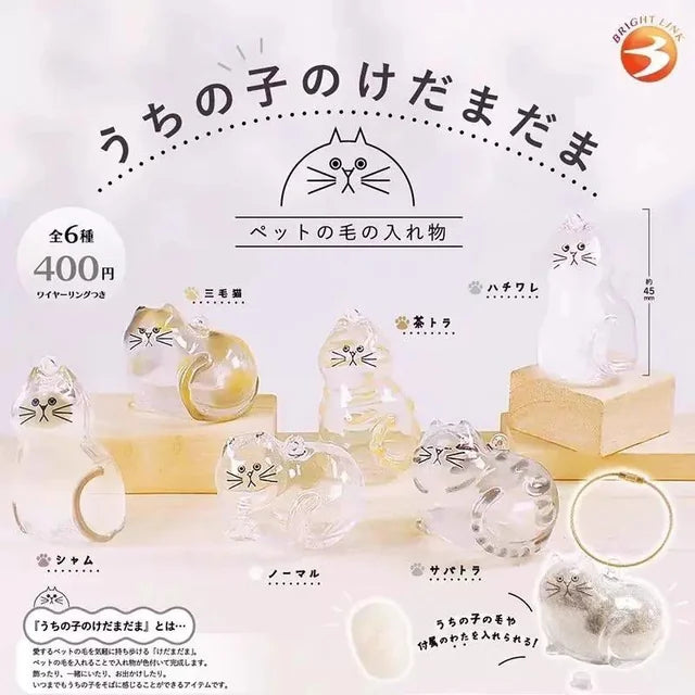 Bright Link Cat Fur Container Gashapon (Blind Box/Capsule)
