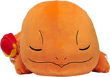71WgsiCSeJS._AC_SL1500_.jpg