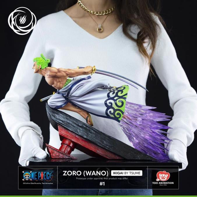 03-Tsume-Art-ZORO-WANO.jpg